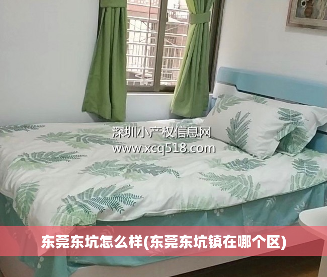东莞东坑怎么样(东莞东坑镇在哪个区)