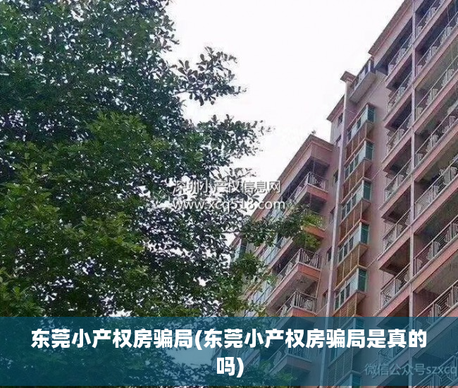 东莞小产权房骗局(东莞小产权房骗局是真的吗)