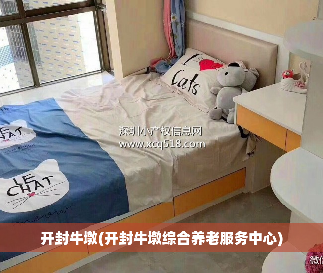开封牛墩(开封牛墩综合养老服务中心)