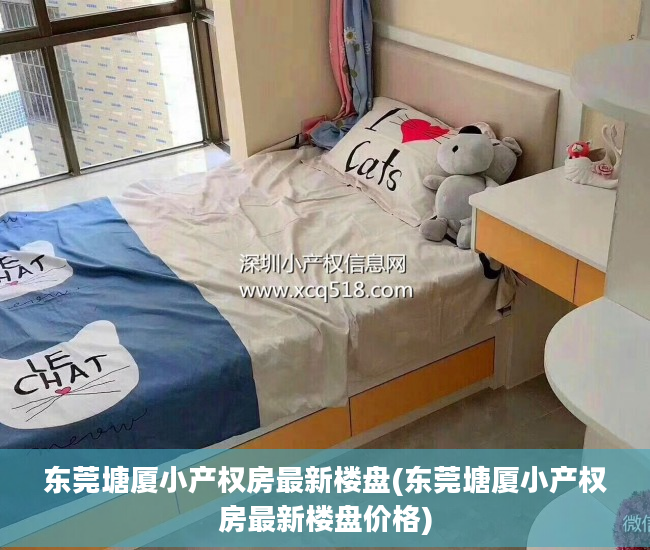 东莞塘厦小产权房最新楼盘(东莞塘厦小产权房最新楼盘价格)