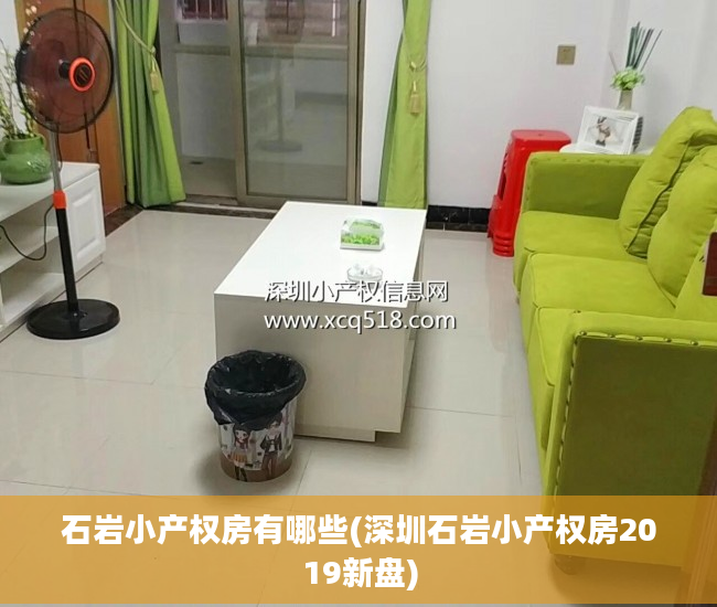 石岩小产权房有哪些(深圳石岩小产权房2019新盘)