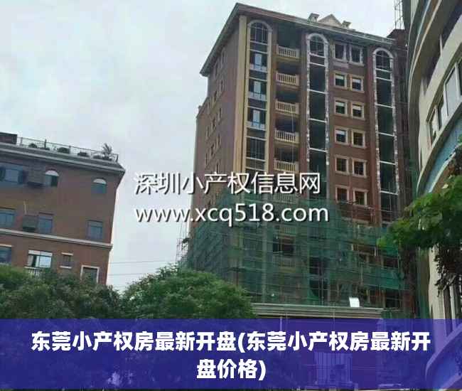 东莞小产权房最新开盘(东莞小产权房最新开盘价格)