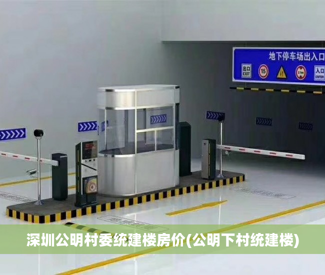 深圳公明村委统建楼房价(公明下村统建楼)