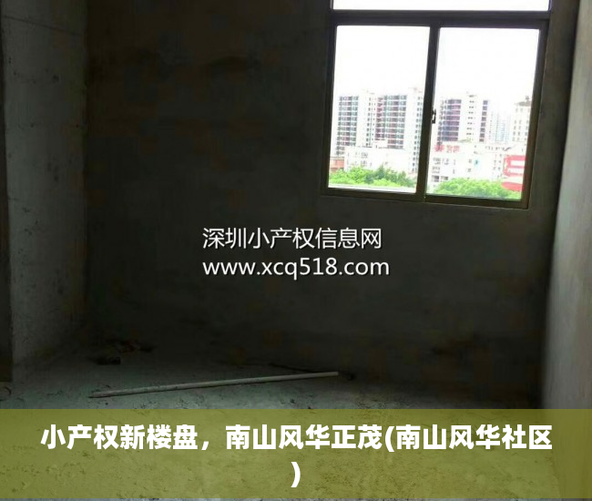 小产权新楼盘，南山风华正茂(南山风华社区)