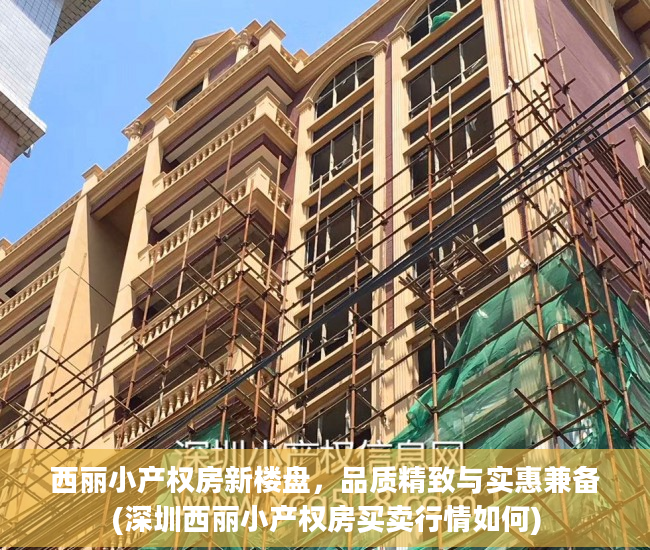 西丽小产权房新楼盘，品质精致与实惠兼备(深圳西丽小产权房买卖行情如何)