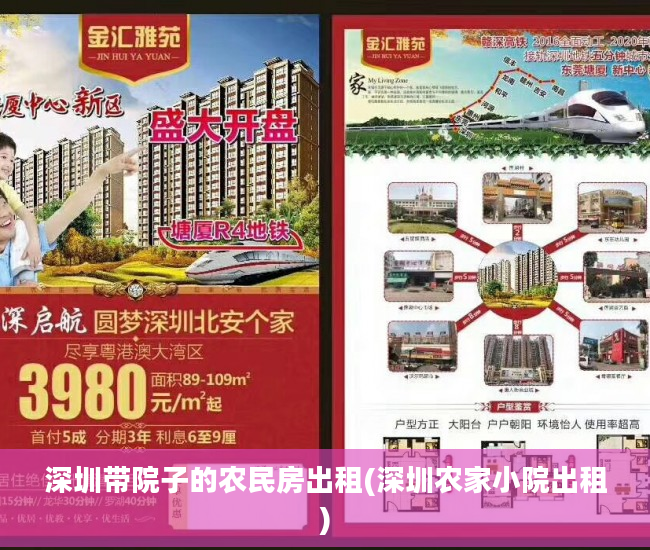 深圳带院子的农民房出租(深圳农家小院出租)