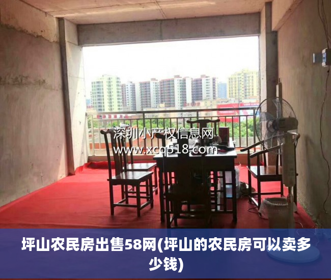 坪山农民房出售58网(坪山的农民房可以卖多少钱)