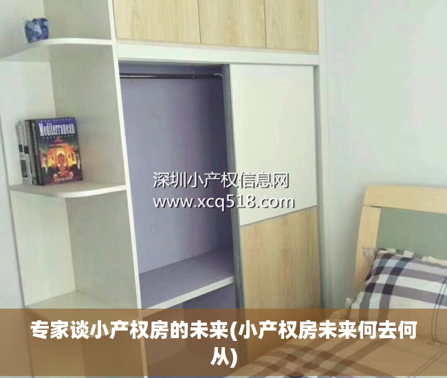 专家谈小产权房的未来(小产权房未来何去何从)