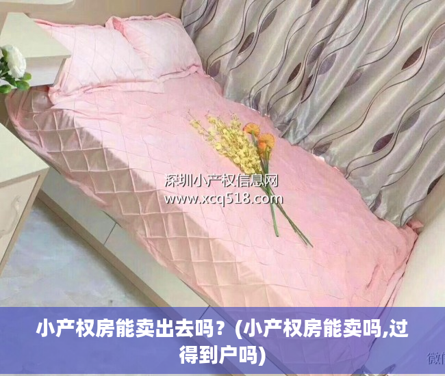 小产权房能卖出去吗？(小产权房能卖吗,过得到户吗)
