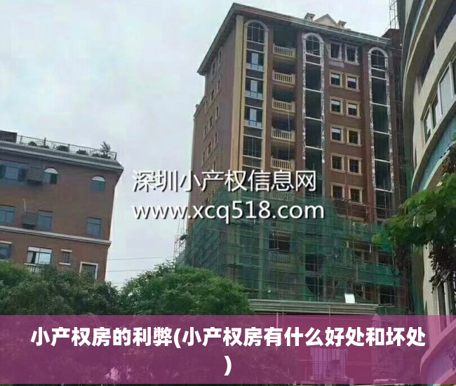 小产权房的利弊(小产权房有什么好处和坏处) 小产权房的利弊(小产权房有什么好处和坏处)
