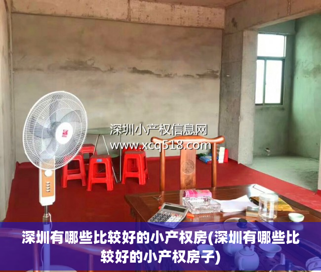 深圳有哪些比较好的小产权房(深圳有哪些比较好的小产权房子)