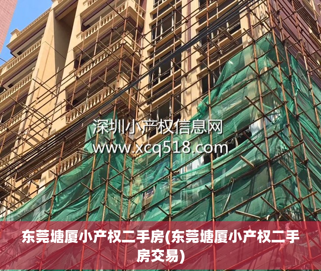 东莞塘厦小产权二手房(东莞塘厦小产权二手房交易)