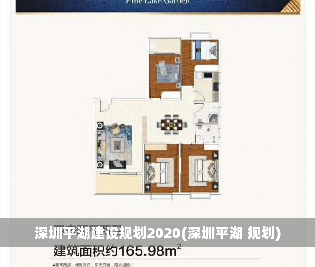 深圳平湖建设规划2020(深圳平湖 规划)