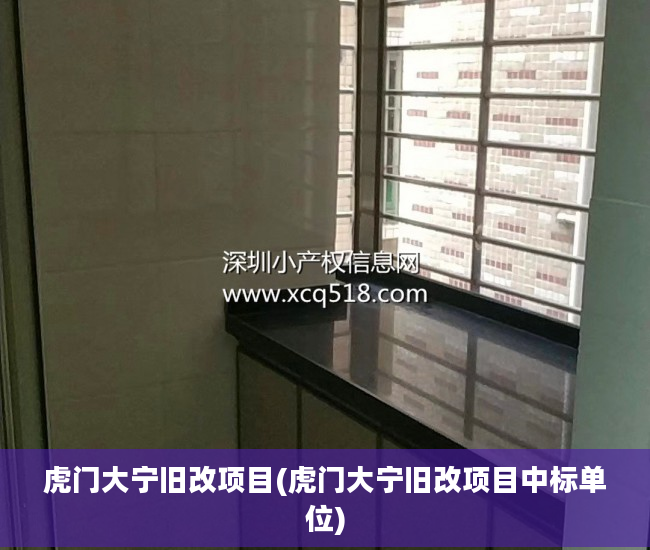 虎门大宁旧改项目(虎门大宁旧改项目中标单位)