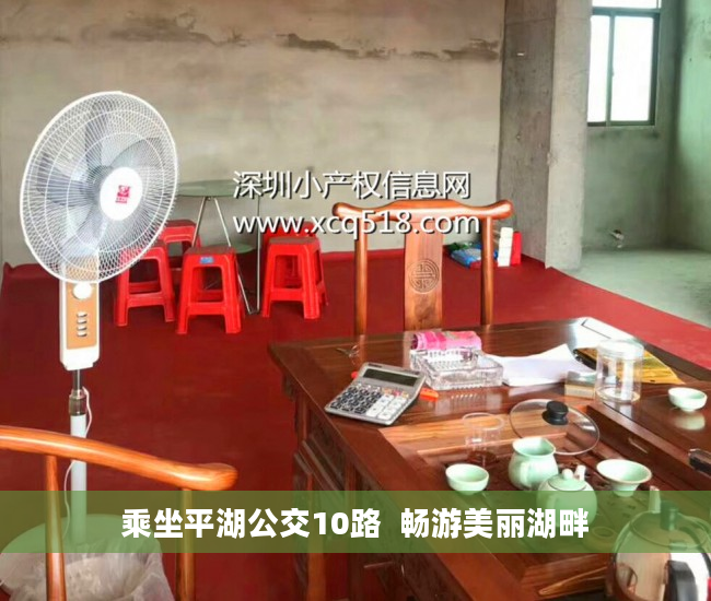 乘坐平湖公交10路  畅游美丽湖畔