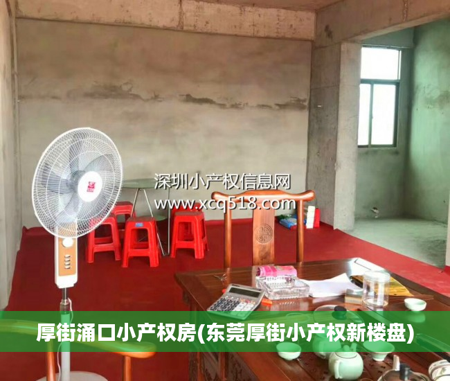 厚街涌口小产权房(东莞厚街小产权新楼盘)