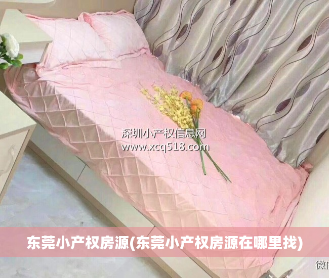 东莞小产权房源(东莞小产权房源在哪里找)