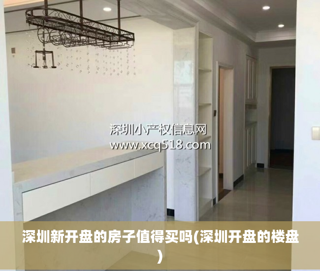 深圳新开盘的房子值得买吗(深圳开盘的楼盘)
