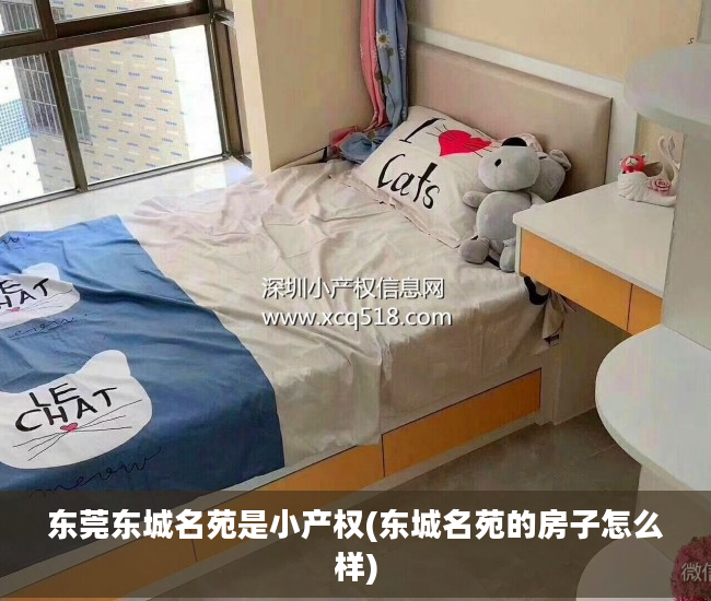 东莞东城名苑是小产权(东城名苑的房子怎么样)