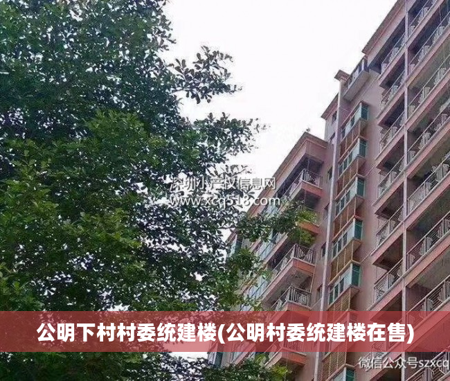公明下村村委统建楼(公明村委统建楼在售)