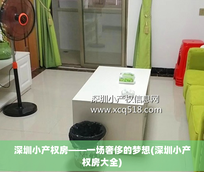 深圳小产权房——一场奢侈的梦想(深圳小产权房大全)