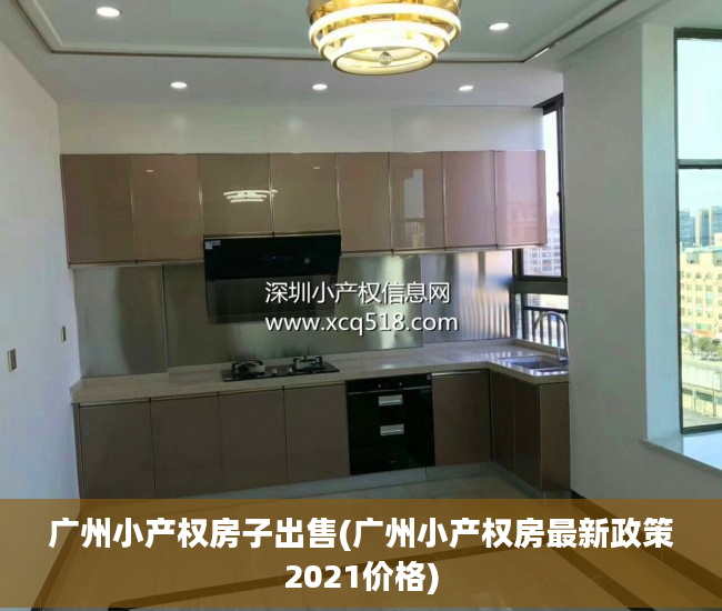 广州小产权房子出售(广州小产权房最新政策2021价格)