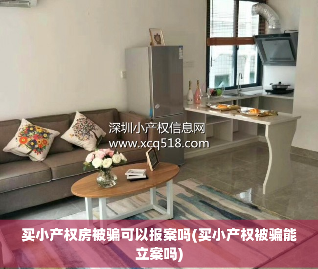 买小产权房被骗可以报案吗(买小产权被骗能立案吗)