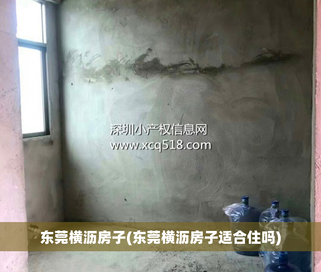 东莞横沥房子(东莞横沥房子适合住吗)
