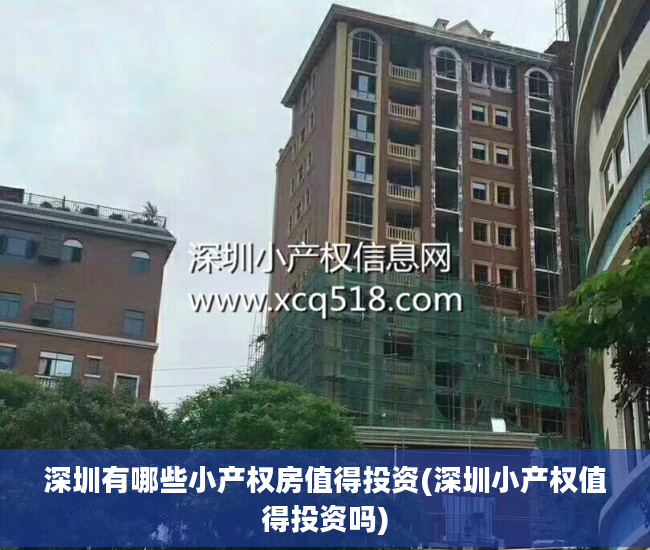 深圳有哪些小产权房值得投资(深圳小产权值得投资吗)