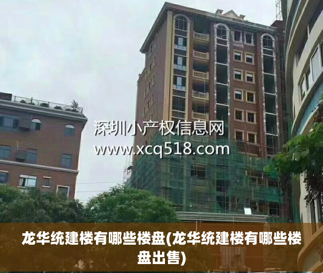 龙华统建楼有哪些楼盘(龙华统建楼有哪些楼盘出售)