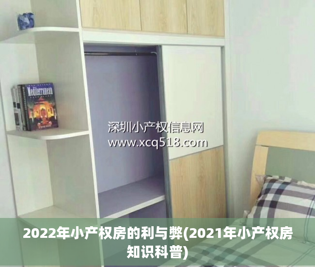 2022年小产权房的利与弊(2021年小产权房知识科普)