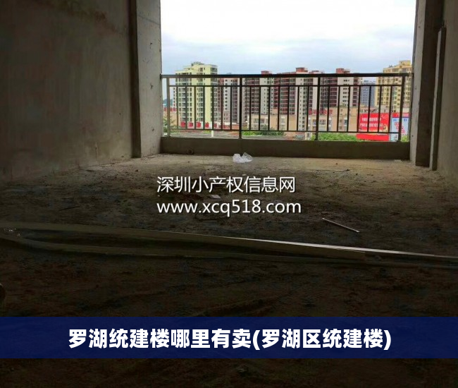 罗湖统建楼哪里有卖(罗湖区统建楼)