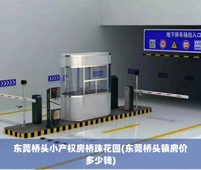 东莞桥头小产权房桥珠花园(东莞桥头镇房价多少钱)