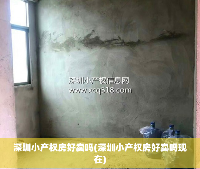 深圳小产权房好卖吗(深圳小产权房好卖吗现在)