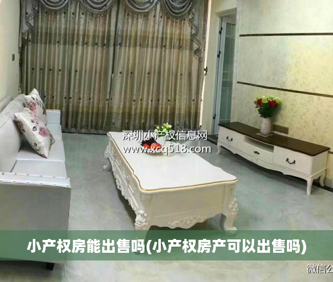 小产权房能出售吗(小产权房产可以出售吗)