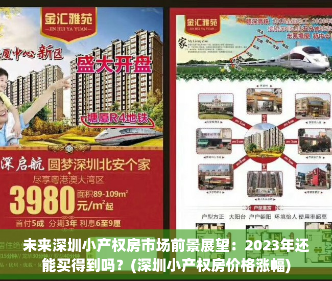 未来深圳小产权房市场前景展望：2023年还能买得到吗？(深圳小产权房价格涨幅)