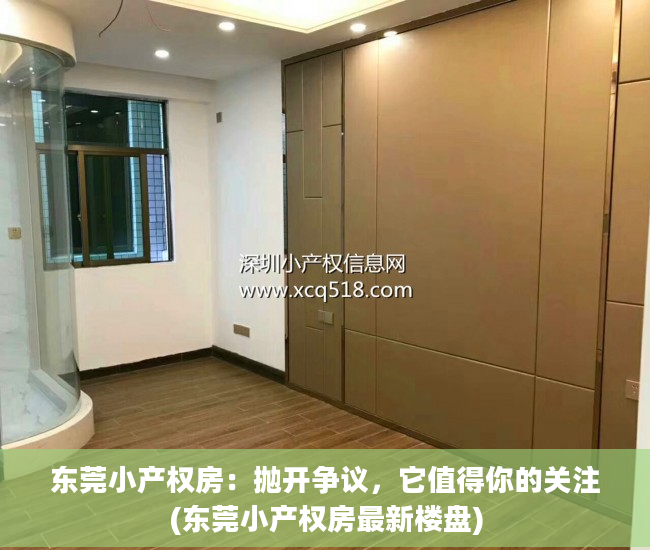 东莞小产权房：抛开争议，它值得你的关注(东莞小产权房最新楼盘)