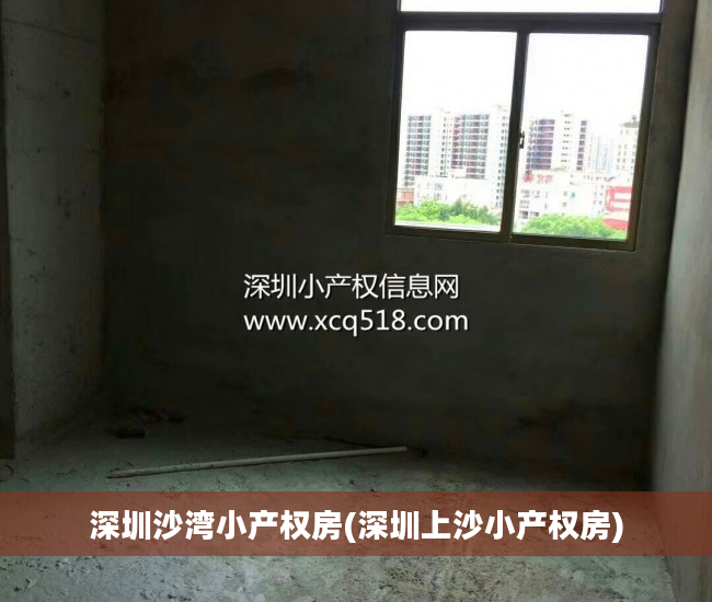 深圳沙湾小产权房(深圳上沙小产权房)