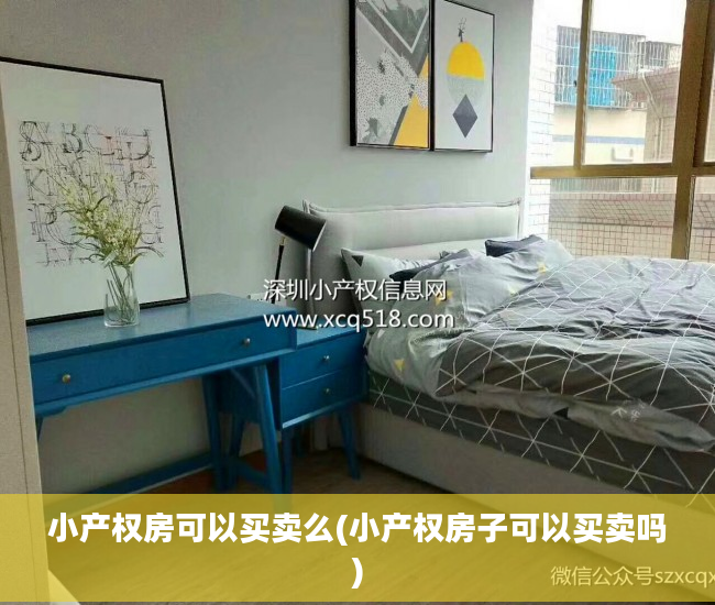 小产权房可以买卖么(小产权房子可以买卖吗)