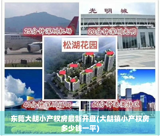 东莞大朗小产权房最新开盘(大朗镇小产权房多少钱一平)