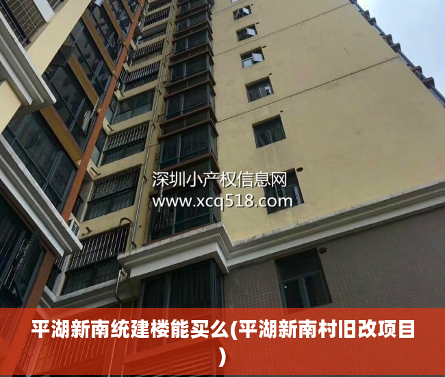 平湖新南统建楼能买么(平湖新南村旧改项目)
