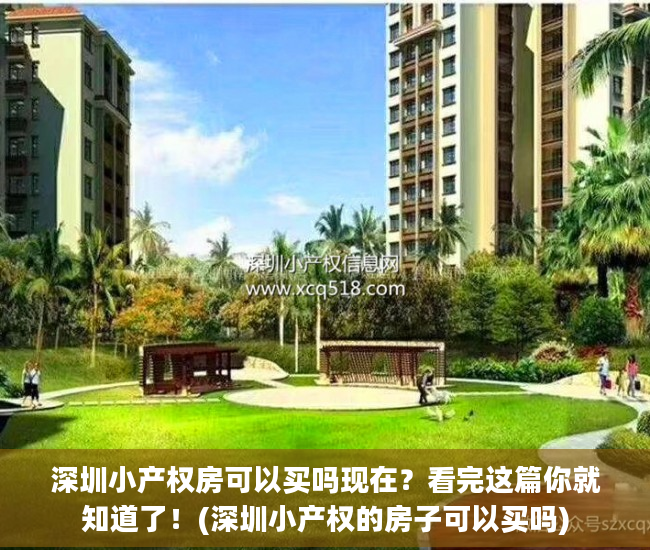 深圳小产权房可以买吗现在？看完这篇你就知道了！(深圳小产权的房子可以买吗)