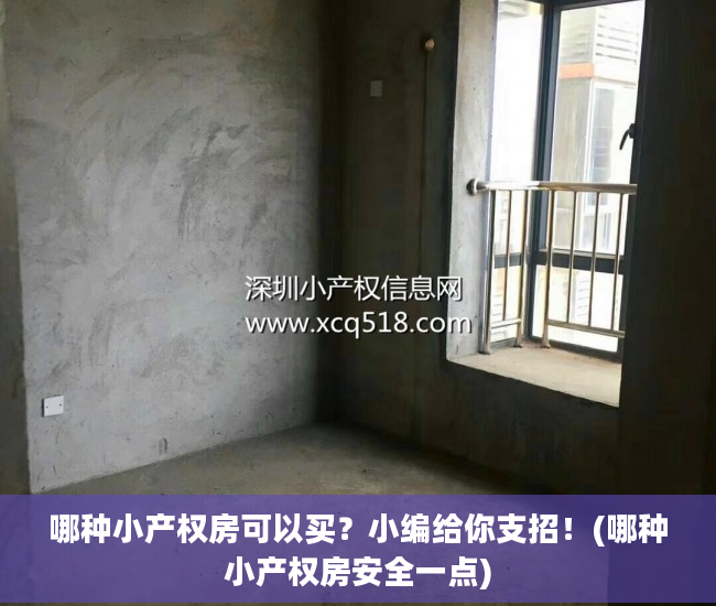 哪种小产权房可以买？小编给你支招！(哪种小产权房安全一点)