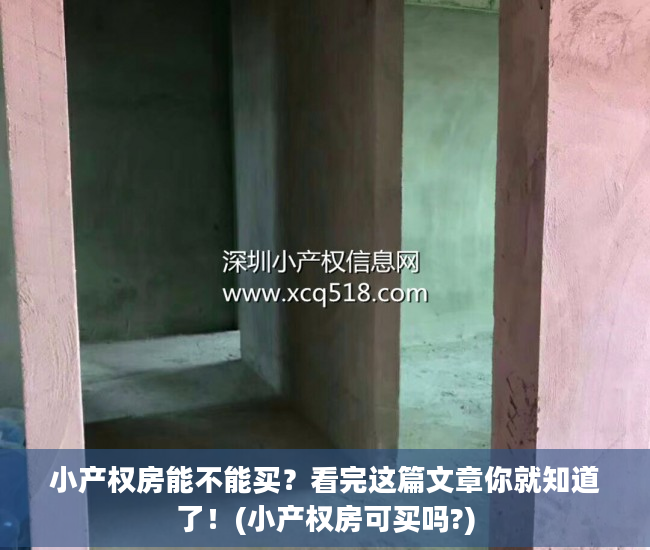 小产权房能不能买？看完这篇文章你就知道了！(小产权房可买吗?)