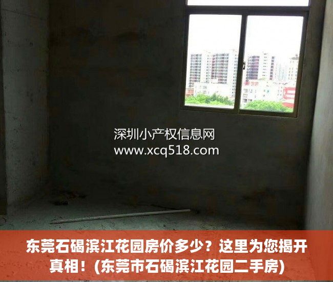 东莞石碣滨江花园房价多少？这里为您揭开真相！(东莞市石碣滨江花园二手房)