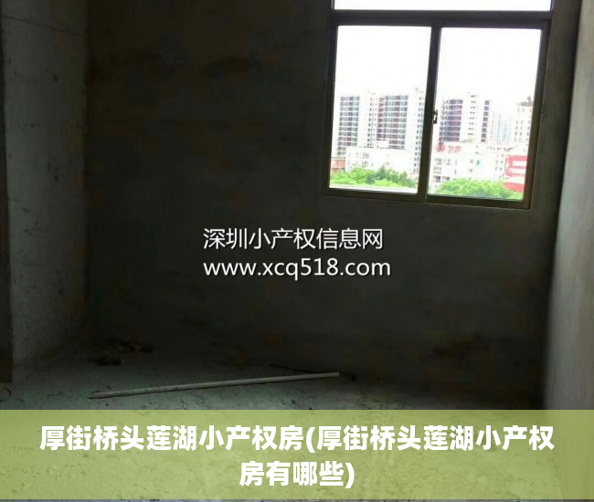 厚街桥头莲湖小产权房(厚街桥头莲湖小产权房有哪些)