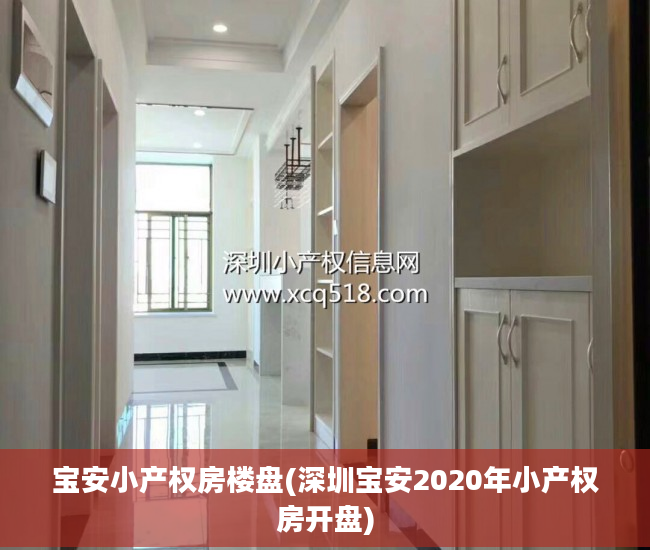 宝安小产权房楼盘(深圳宝安2020年小产权房开盘)