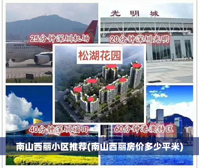 南山西丽小区推荐(南山西丽房价多少平米)
