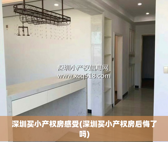 深圳买小产权房感受(深圳买小产权房后悔了吗)