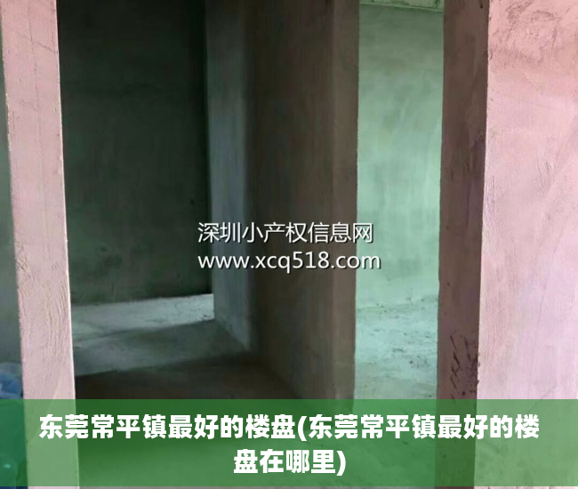 东莞常平镇最好的楼盘(东莞常平镇最好的楼盘在哪里)